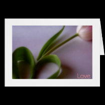 Love can be found anywhere cards
