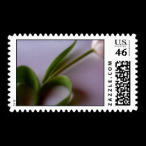 Love Can Be Found Anywhere stamps