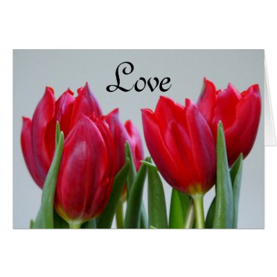 Love Card by sexycher