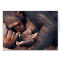 Love cards by ApeArt Love cards