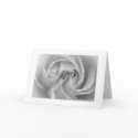 Love cards