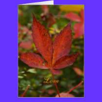 Love cards by skytopian Love cards