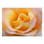 Love Card