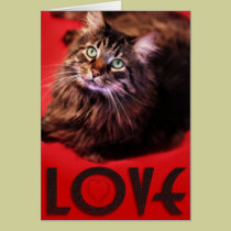 LOVE Card cards