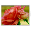 Love_Card_by Elenne Boothe by ELENNE Love_Card_by Elenne Boothe