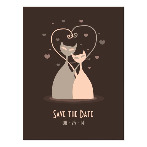 I love cats video eharmony