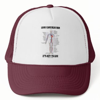 Love Circulation It's Key To Life hat