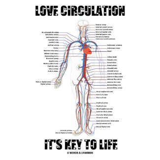 Love Circulation It's Key To Life shirt