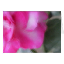 Love Comes Softly Card