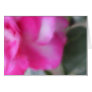 Love Comes Softly Card