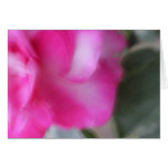 Love Comes Softly Card