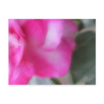 Love Comes Softly Post Cards