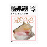 Love Conch Shell stamps