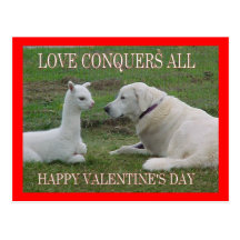 Love conquers all post card