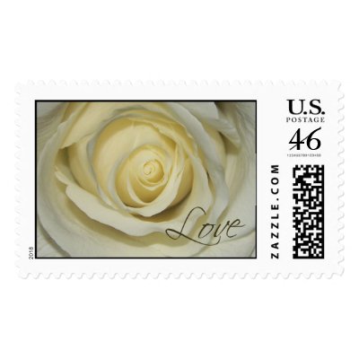 Love Cream Rose Stamp by aslentz