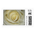Love Cream Rose postage
