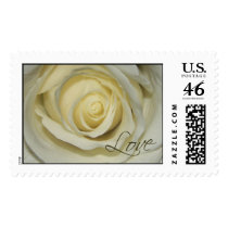 Love Cream Rose postage by aslentz Love Cream Rose postage
