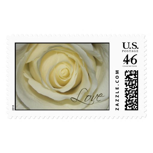 Love Cream Rose Stamp