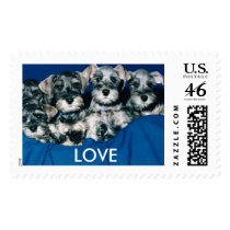 Love Cute Puppies 1C postage by mickeyelvis128 Love Cute Puppies 1C postage