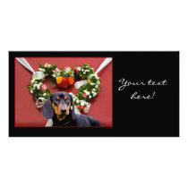 Love Dachsund photocard by ritmoboxer Love Dachsund photocard