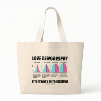 Love Demography It's Always In Transition bag