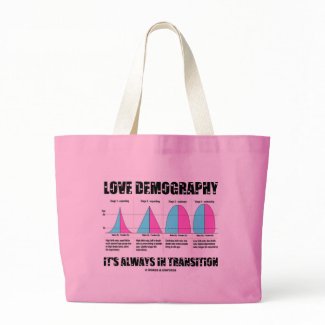 Love Demography It's Always In Transition bag