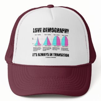 Love Demography It's Always In Transition hat