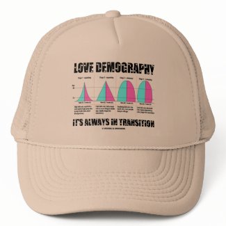 Love Demography It's Always In Transition hat
