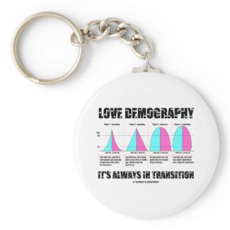 Love Demography It's Always In Transition Key Chain