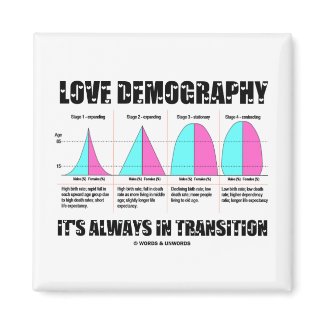 Love Demography It's Always In Transition magnet