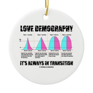 Love Demography It's Always In Transition ornament