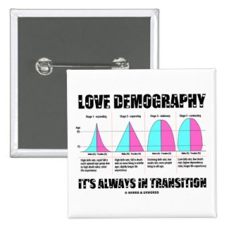 Love Demography It's Always In Transition Pin