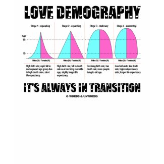 Love Demography It's Always In Transition shirt