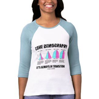 Love Demography It's Always In Transition shirt