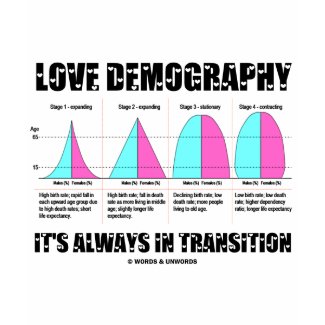 Love Demography It's Always In Transition shirt