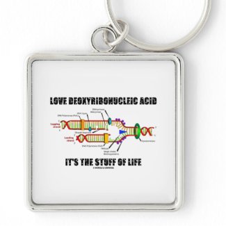 Love Deoxyribonucleic Acid It's The Stuff Of Life keychain