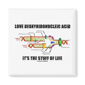 Love Deoxyribonucleic Acid It's The Stuff Of Life magnet