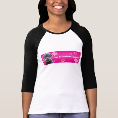 Love Does Not Discriminate Raglan Shirt - Black by MyDogVotes