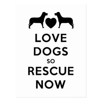Love Dogs So Rescue Now