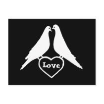 Love Doves Postcards