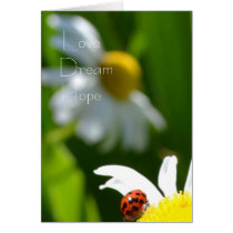Love, Dream, Hope cards