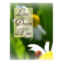 Love, Dream, Hope Ladybug Post Card