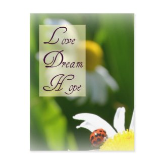Love, Dream, Hope Ladybug Post Card postcard