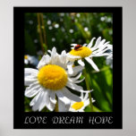 Love, Dream, Hope Ladybug Poster