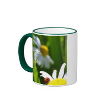Love, Dream, Hope mugs