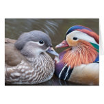'Love Ducks' Notecard