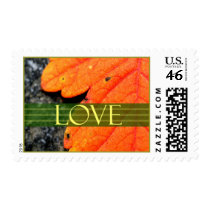 Love Fall Event And Wedding Postage Stamp by TDSwhite Love Fall Event And Wedding Postage Stamp