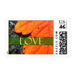 Love Fall Event And Wedding Postage Stamp