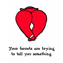 Love Ferrets t-shirts