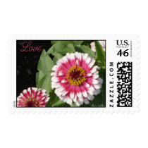 Love flowers Postage stamps